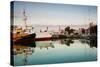 Boats at Maritime Museum, La Rochelle, Charente-Maritime, Poitou-Charentes, France-null-Stretched Canvas