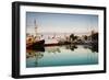 Boats at Maritime Museum, La Rochelle, Charente-Maritime, Poitou-Charentes, France-null-Framed Premium Photographic Print