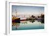 Boats at Maritime Museum, La Rochelle, Charente-Maritime, Poitou-Charentes, France-null-Framed Premium Photographic Print