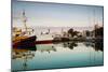 Boats at Maritime Museum, La Rochelle, Charente-Maritime, Poitou-Charentes, France-null-Mounted Premium Photographic Print