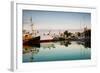 Boats at Maritime Museum, La Rochelle, Charente-Maritime, Poitou-Charentes, France-null-Framed Photographic Print