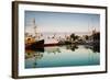 Boats at Maritime Museum, La Rochelle, Charente-Maritime, Poitou-Charentes, France-null-Framed Photographic Print