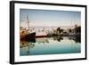 Boats at Maritime Museum, La Rochelle, Charente-Maritime, Poitou-Charentes, France-null-Framed Photographic Print