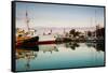 Boats at Maritime Museum, La Rochelle, Charente-Maritime, Poitou-Charentes, France-null-Framed Stretched Canvas