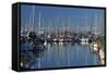 Boats at Nelson Marina, Nelson, South Island, New Zealand-David Wall-Framed Stretched Canvas