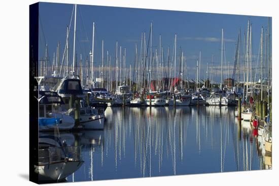 Boats at Nelson Marina, Nelson, South Island, New Zealand-David Wall-Stretched Canvas