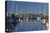 Boats at Nelson Marina, Nelson, South Island, New Zealand-David Wall-Stretched Canvas