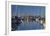 Boats at Nelson Marina, Nelson, South Island, New Zealand-David Wall-Framed Photographic Print