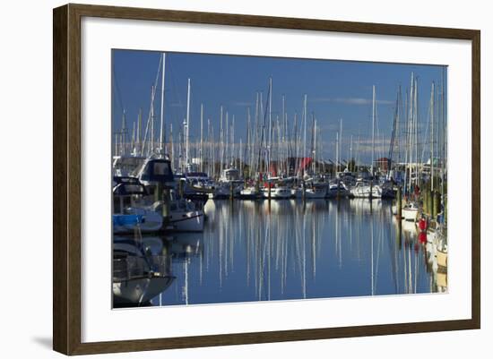 Boats at Nelson Marina, Nelson, South Island, New Zealand-David Wall-Framed Photographic Print