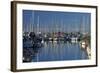 Boats at Nelson Marina, Nelson, South Island, New Zealand-David Wall-Framed Photographic Print