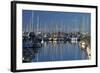 Boats at Nelson Marina, Nelson, South Island, New Zealand-David Wall-Framed Photographic Print