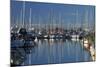 Boats at Nelson Marina, Nelson, South Island, New Zealand-David Wall-Mounted Photographic Print