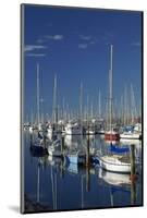 Boats at Nelson Marina, Nelson, South Island, New Zealand-David Wall-Mounted Photographic Print