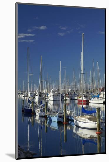 Boats at Nelson Marina, Nelson, South Island, New Zealand-David Wall-Mounted Photographic Print