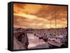 Boats at Sunset, Comox Harbor, British Columbia-Brent Bergherm-Framed Stretched Canvas