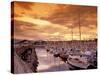 Boats at Sunset, Comox Harbor, British Columbia-Brent Bergherm-Stretched Canvas