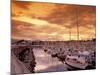 Boats at Sunset, Comox Harbor, British Columbia-Brent Bergherm-Mounted Photographic Print