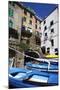 Boats at the Harbour in Riomaggiore-Mark Sunderland-Mounted Photographic Print