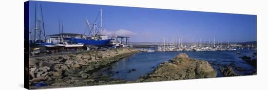 Boats Docked at a Harbor, Marina, Monterey, California, USA-null-Stretched Canvas