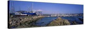 Boats Docked at a Harbor, Marina, Monterey, California, USA-null-Stretched Canvas