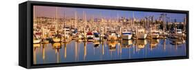 Boats Docked at San Diego,Ca Marina-null-Framed Stretched Canvas