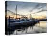 Boats Docked at the Yacht Club-the-brown-market-Stretched Canvas