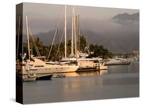 Boats Docked in Marina Vallarta Against Fog-Shrouded Mountains, Puerto Vallarta, Mexico-Nancy & Steve Ross-Stretched Canvas