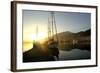 Boats Docked in the Harbor at Fethiye, Sunrise, in Turkey-Bennett Barthelemy-Framed Photographic Print