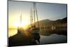 Boats Docked in the Harbor at Fethiye, Sunrise, in Turkey-Bennett Barthelemy-Mounted Photographic Print