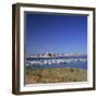 Boats for Recreation Moored on Lake Powell, at Page in Arizona, USA-Tony Gervis-Framed Photographic Print