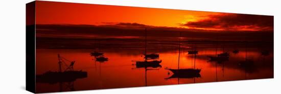 Boats in a Bay, Morro Bay, San Luis Obispo County, California, USA-null-Stretched Canvas