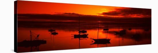 Boats in a Bay, Morro Bay, San Luis Obispo County, California, USA-null-Stretched Canvas