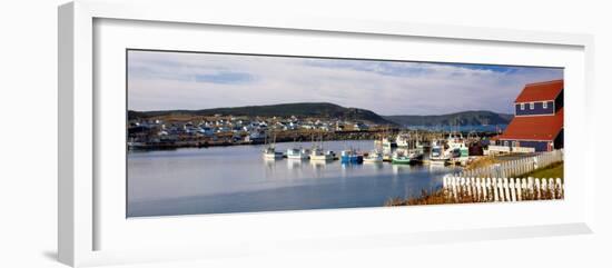 Boats in a Harbor, Bonavista Harbour, Newfoundland, Newfoundland and Labrador, Canada-null-Framed Photographic Print