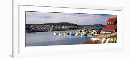Boats in a Harbor, Bonavista Harbour, Newfoundland, Newfoundland and Labrador, Canada-null-Framed Photographic Print