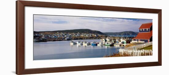 Boats in a Harbor, Bonavista Harbour, Newfoundland, Newfoundland and Labrador, Canada-null-Framed Photographic Print