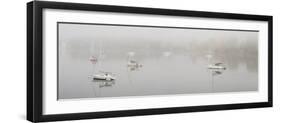 Boats in a lake during fog, Lake Memphremagog, Magog, Quebec, Canada-null-Framed Photographic Print