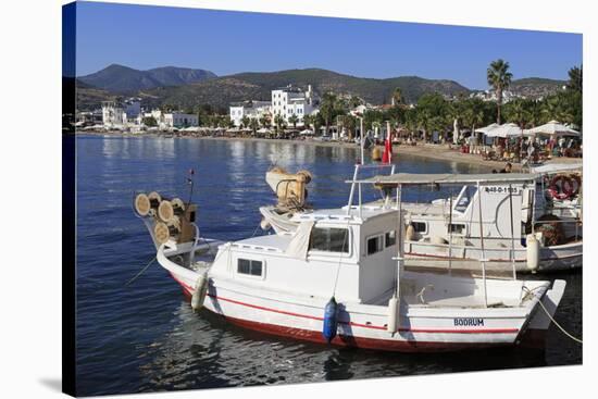 Boats in Bodrum, Anatolia, Turkey, Asia Minor, Eurasia-Richard Cummins-Stretched Canvas