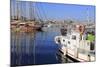 Boats in Bodrum Harbor, Anatolia, Turkey, Asia Minor, Eurasia-Richard Cummins-Mounted Photographic Print
