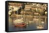 Boats in Bodrum, Turkey, Anatolia, Asia Minor, Eurasia-Richard-Framed Stretched Canvas