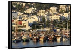 Boats in Bodrum, Turkey, Anatolia, Asia Minor, Eurasia-Richard-Framed Stretched Canvas