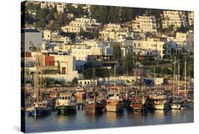 Boats in Bodrum, Turkey, Anatolia, Asia Minor, Eurasia-Richard-Stretched Canvas