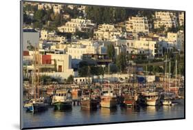 Boats in Bodrum, Turkey, Anatolia, Asia Minor, Eurasia-Richard-Mounted Photographic Print