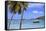 Boats in Cruz Bay, St. John, United States Virgin Islands, West Indies, Caribbean, Central America-Richard Cummins-Framed Stretched Canvas