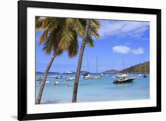 Boats in Cruz Bay, St. John, United States Virgin Islands, West Indies, Caribbean, Central America-Richard Cummins-Framed Photographic Print