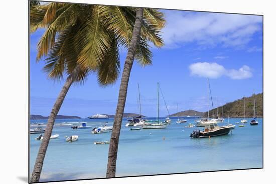 Boats in Cruz Bay, St. John, United States Virgin Islands, West Indies, Caribbean, Central America-Richard Cummins-Mounted Photographic Print