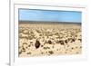 Boats in Desert - Aral Sea-Daniel Prudek-Framed Photographic Print