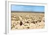 Boats in Desert - Aral Sea-Daniel Prudek-Framed Photographic Print