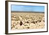 Boats in Desert - Aral Sea-Daniel Prudek-Framed Photographic Print