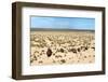 Boats in Desert - Aral Sea-Daniel Prudek-Framed Photographic Print