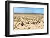 Boats in Desert - Aral Sea-Daniel Prudek-Framed Photographic Print